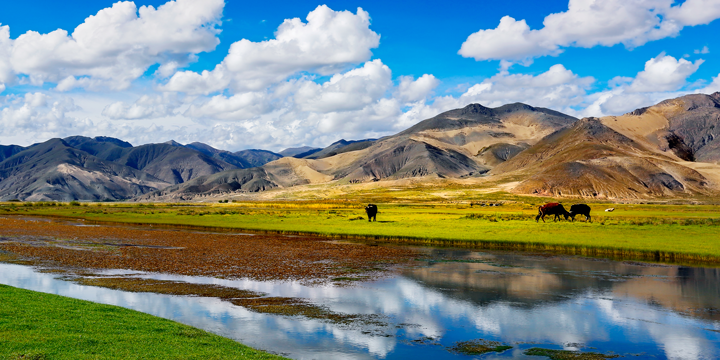 paesaggio del Tibet