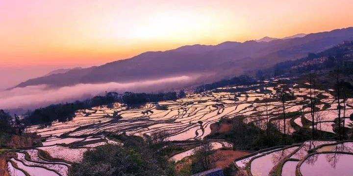 terrazze di riso yuanyang