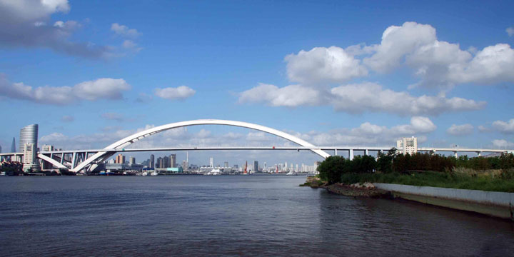 I ponti più lunghi in Cina-Lupu Bridge Shanghai