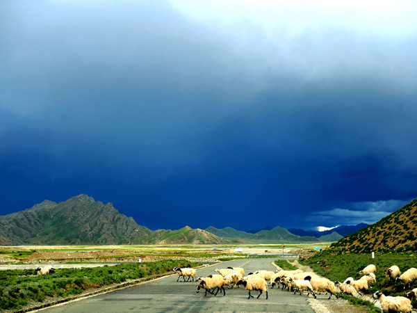 Le 10 autostrade più belle della Cina: l'autostrada Qinghai-Tibet