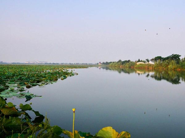 I laghi più famosi della Cina: il lago Hongze