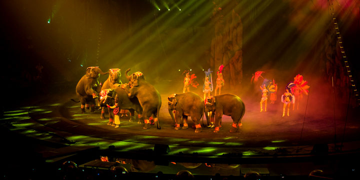 cose da fare la sera a Guangzhou guardare il circo internazionale di Chimelong