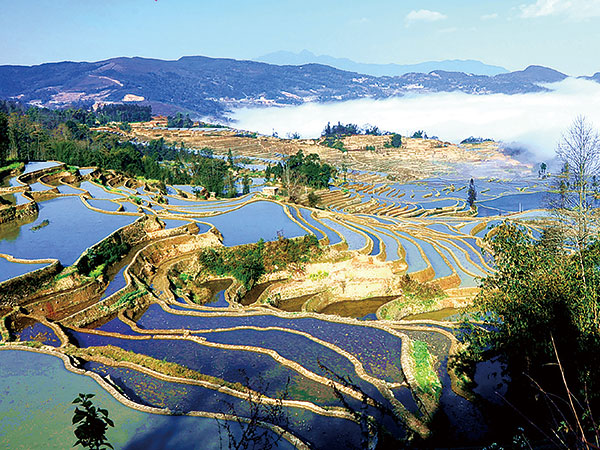 Terrazze di riso Yuanyang