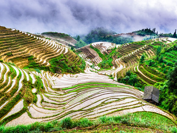 come pianificare una gita di un giorno alle terrazze di riso Longji da Guilin-terrazze di riso Longji