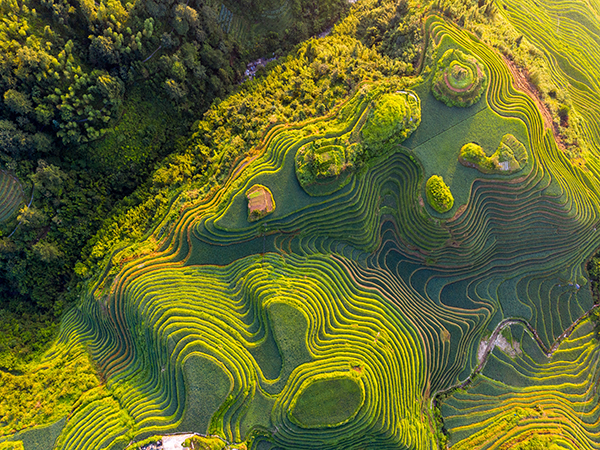 come pianificare una gita di un giorno alle terrazze di riso Longji da Guilin