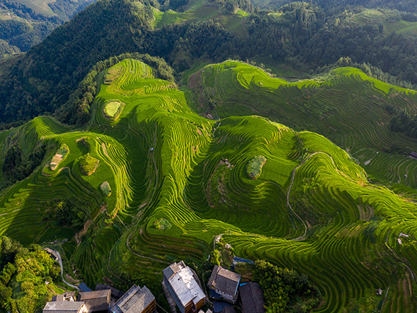 come pianificare una gita di un giorno alle terrazze di riso Longji da Guilin