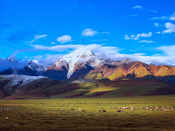 Come organizzare un viaggio in Tibet?