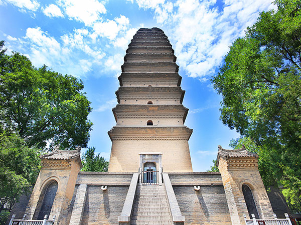 piccola pagoda dell'oca selvatica