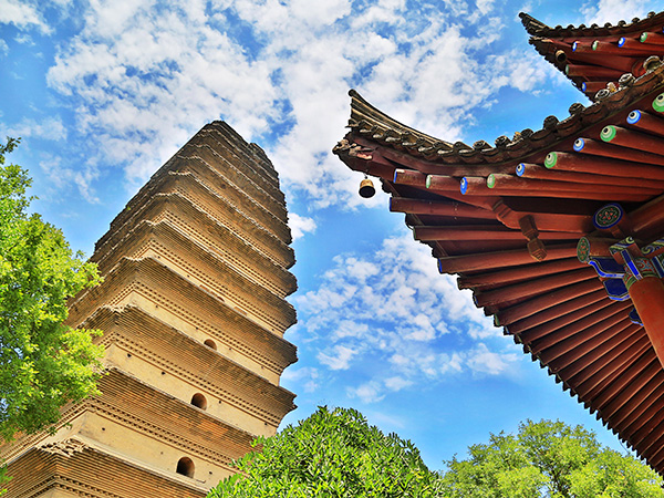 Piccola Pagoda dell'Oca Selvatica