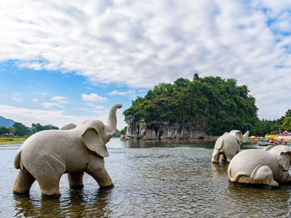 La collina della proboscide dell'elefante