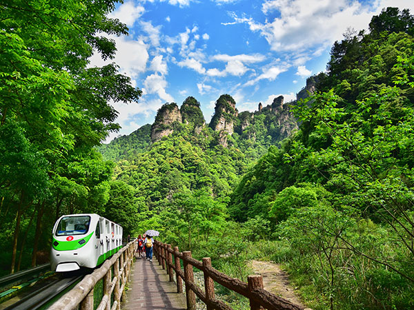 Parco forestale nazionale di Zhangjiajie