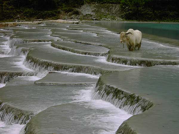 Le terrazze del fiume Bianco a Lijiang