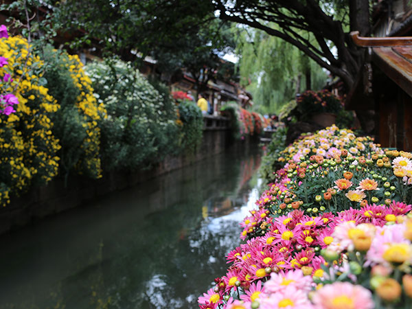 Città vecchia di Lijiang