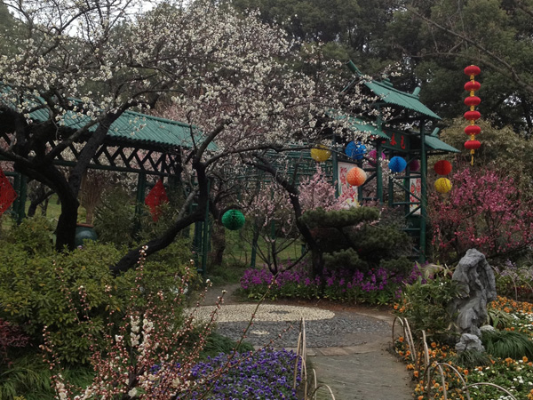 I migliori posti da visitare in Cina a febbraio-Plum Garden