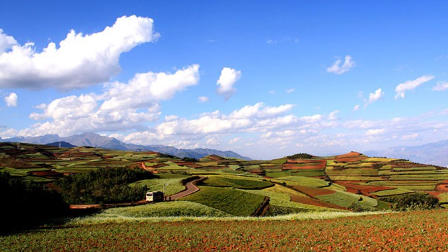 Yuepuao