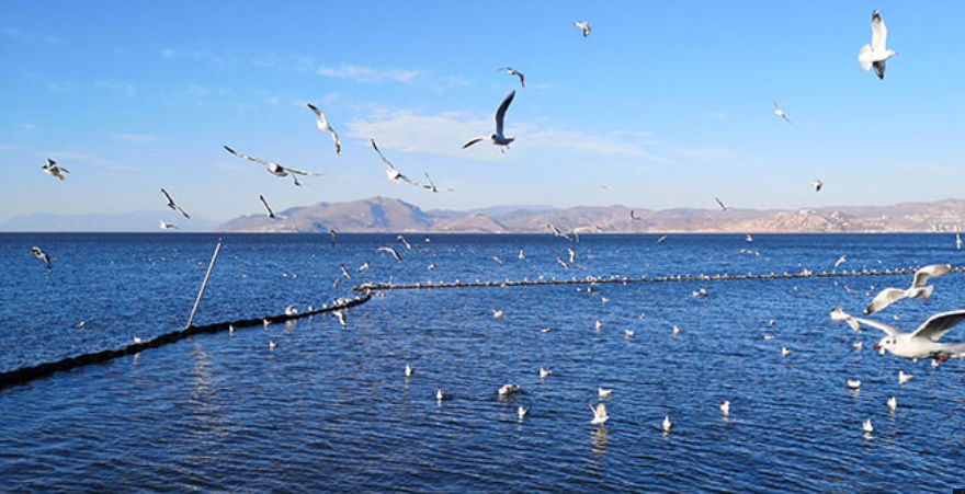 Lago Erhai, Dali - Perla dell'Altopiano