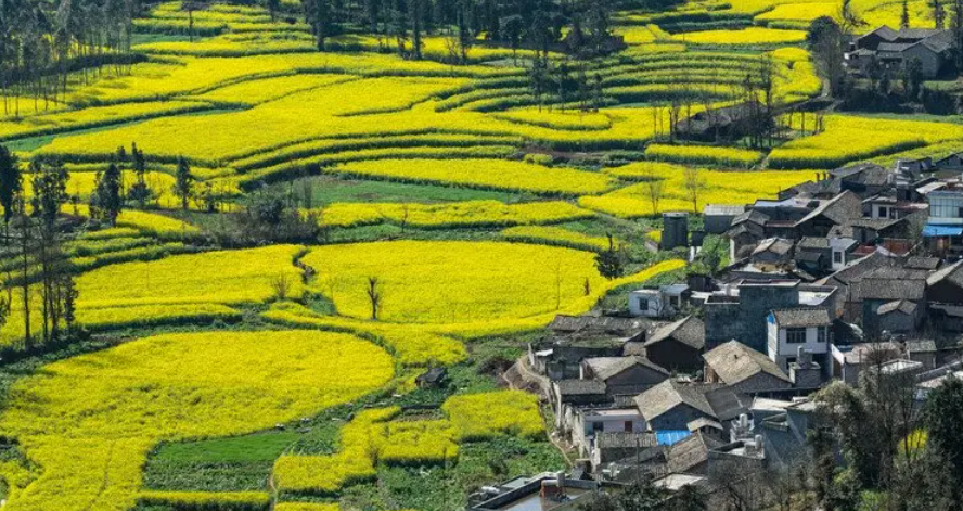 Il periodo migliore e peggiore per visitare la Cina: evitare la folla